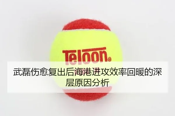 武磊伤愈复出后海港进攻效率回暖的深层原因分析